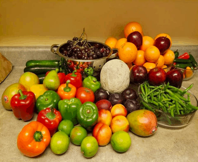 Produce rescued from a dumpster.