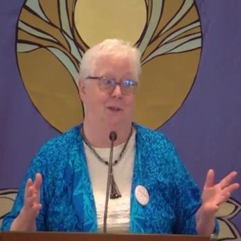 Susan Scott - Wild Wonderful Weird Wacky